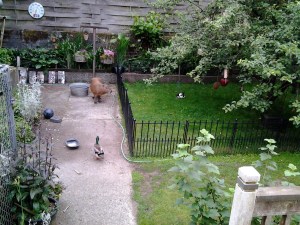 11b48-2012-06-1717-53-48