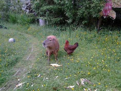 2d7e3-2012-06-0917-22-07