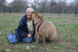 Caplin ROUS and Melanie Typaldos