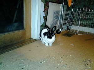 2012-09-01 00.49.26_w