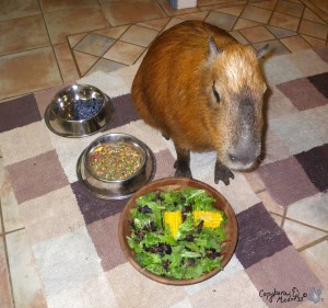 2012_07_01_01_sGariDinner