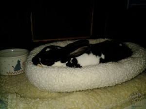 2013-01-02 17.56.36_w
