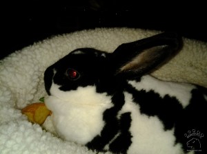 2013-01-02 23.48.46_w