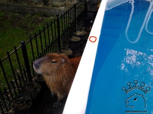 Just a few teeny tiny holes