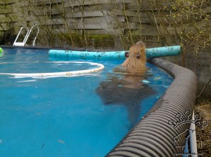 Somebody has been biting my toys.