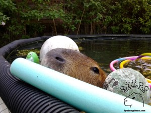 All the colors taste the same.