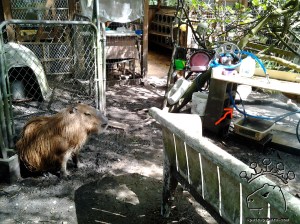 It was fun while it lasted