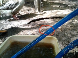 Just a little test bite