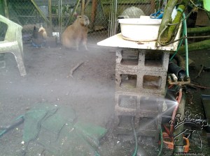 I'm nowhere near this leak.