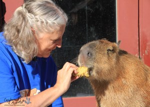 2013_01_17_03_sGariMelly