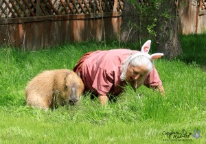 Mealtimes are an ideal time to bond with your family. 