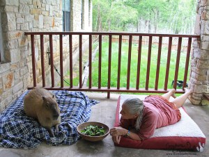 2013_03_31_02_sGariMelly