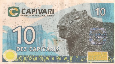 Capivara front