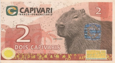 Capivara front_2