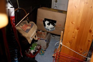 IMG_3560_w