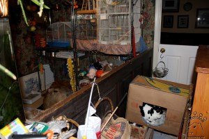 IMG_3563_w