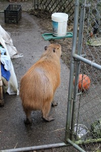 Quit looking at my butt!