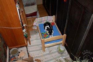 IMG_4199_w