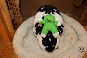 IMG_8594_w