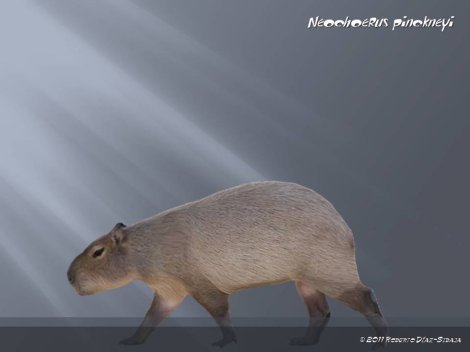 Neochoerus pinkneyi