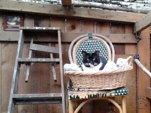 2012-02-23 16.02.45_w