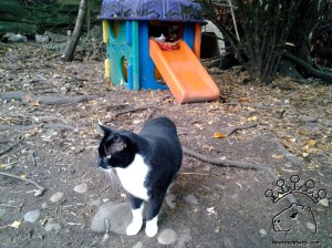 2012-10-18 16.52.15_w