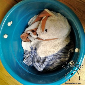 2014-02-06 12.50.09_w