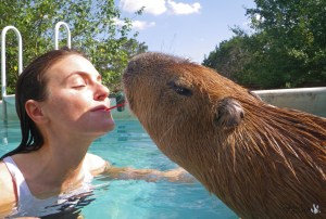 2011_07_07_06_GariAngela