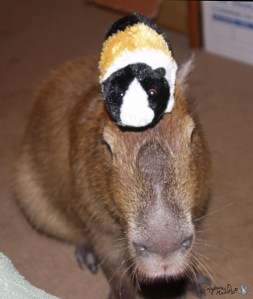 2011_07_07_09_sGariDecoy