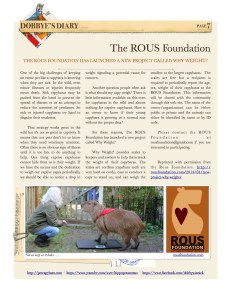 1_2014-4 7 Dobbye's Diary