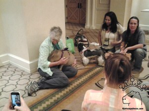 2014-05-08 20.24.36_w