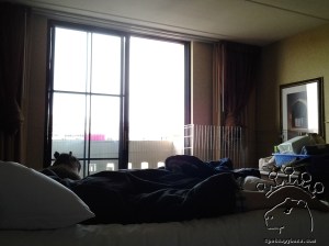 2014-05-09 08.33.03_w