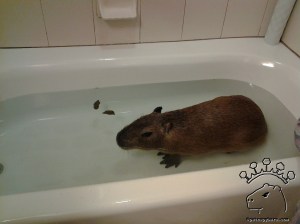 2014-05-09 09.39.40_w