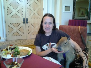 2014-05-09 12.56.48_w