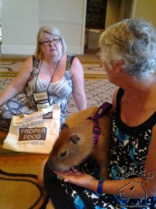 2014-05-09 13.20.33_w