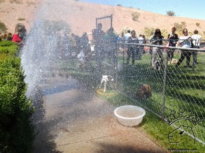 2014-05-10 13.32.54_w