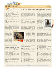 2-2014_11 Dobby's Diary