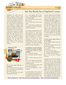 2-2014_13 Dobby's Diary