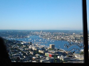 2014-07-15 19.13.31_w