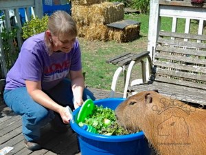 2014-07-21 14.10.39_w