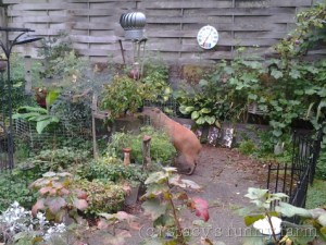 2014-09-18 11.33.42_w