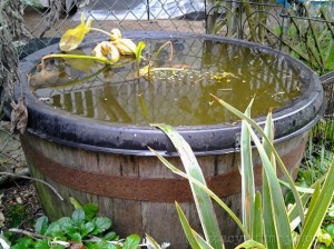 2014-10-17 10.01.05_w