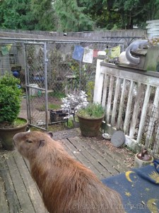 2014-10-19 17.08.40_w