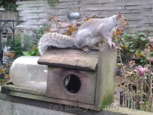 2014-10-19 17.09.07_w