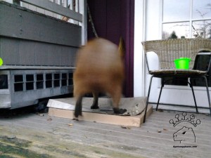 2014-11-20 15.57.33_w