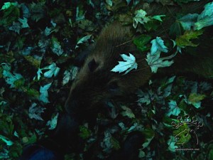 2014-11-20 16.10.52_w