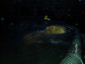 2015-01-06 16.52.39_w