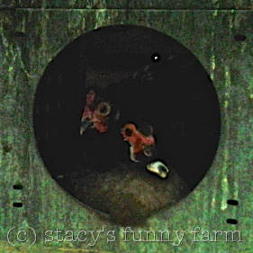 2015-04-20 19.27.51_w