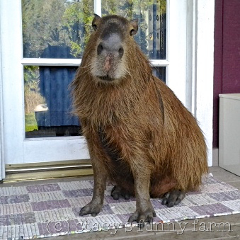 2015-04-27 16.59.00_w