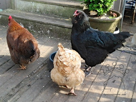 2015-04-30 17.01.06_w